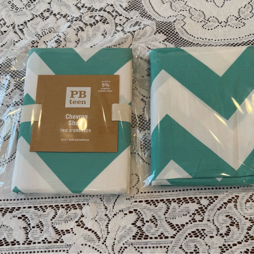 NIP ~ Set of 2 and Pottery Barn Teen Chevron Euro Shams in Teal and White